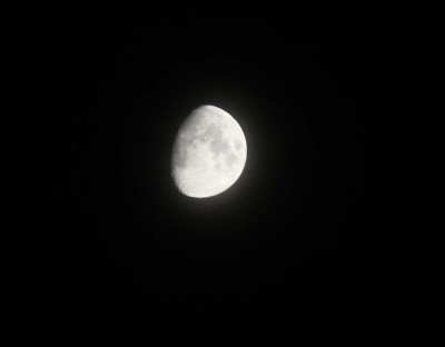 IMG_2986 жатый.jpg